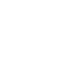 Frontend Icon
